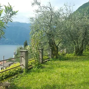 https://gli-ulivi-di-nesso.it-lombardy.com